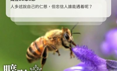 Soooradio 基督教廣播電台 曠野嗎哪（620） - 搧風的工蜂