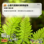 Soooradio 基督教廣播電台 曠野嗎哪（623） - 心靈花園裏的蕨類植物