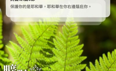 Soooradio 基督教廣播電台 曠野嗎哪（623） - 心靈花園裏的蕨類植物