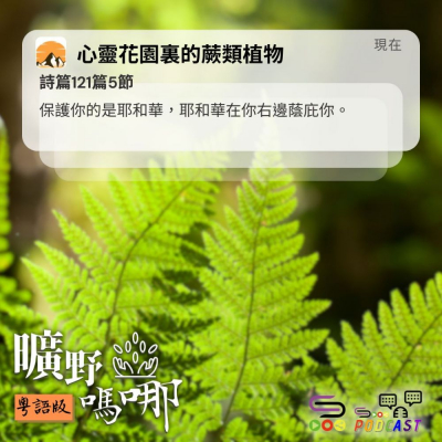 Soooradio 基督教廣播電台 曠野嗎哪（623） - 心靈花園裏的蕨類植物