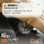 Soooradio 基督教廣播電台 曠野嗎哪（629） - 被隱藏的人