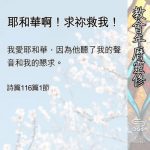 Soooradio 基督教廣播電台 教會年曆靈修（0525） - 耶和華啊！求祢救我！