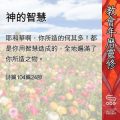 Soooradio 基督教廣播電台 教會年曆靈修（0537） - 神的智慧