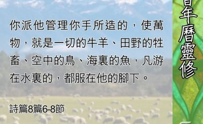 Soooradio 基督教廣播電台 教會年曆靈修（0548） - 作神管家（二）