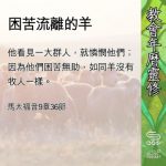 Soooradio 基督教廣播電台 教會年曆靈修（0579） - 困苦流離的羊