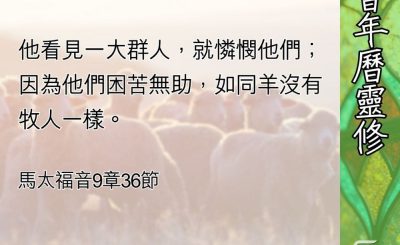 Soooradio 基督教廣播電台 教會年曆靈修（0579） - 困苦流離的羊