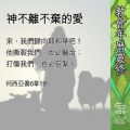 Soooradio 基督教廣播電台 教會年曆靈修(0584) - 神不離不棄的愛