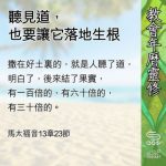 Soooradio 基督教廣播電台 教會年曆靈修(0598) - 聽見道,也要讓它落地生根