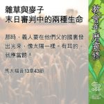 Soooradio 基督教廣播電台 教會年曆靈修(0600) - 雜草與麥子