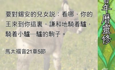 Soooradio 基督教廣播電台 教會年曆靈修（0670） - 君王終於公開進城