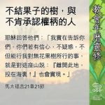 Soooradio 基督教廣播電台 教會年曆靈修(0672) - 不結果子的樹,與不肯承認權柄的人