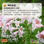 Soooradio 基督教廣播電台 曠野嗎哪(668) - 神的命定